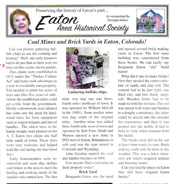 EAHS chips &amp; bricks