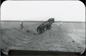 Screen Shot 2016-08-15 at 1.13.57 PM